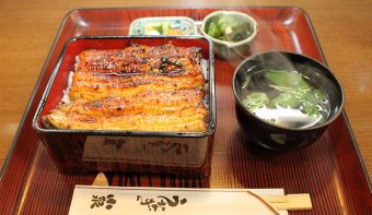 Unagi Koizumi