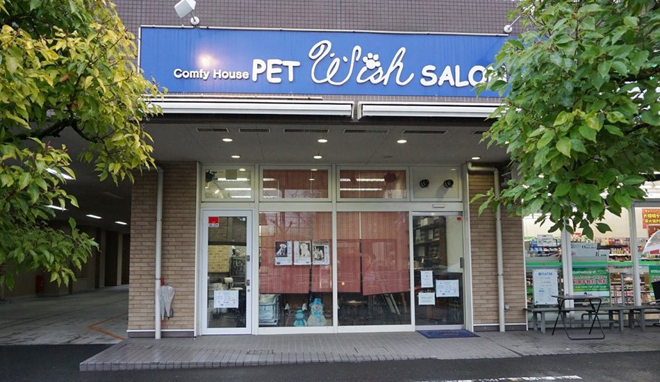 dog grooming parlours near me