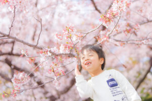 満開の桜と男の子
