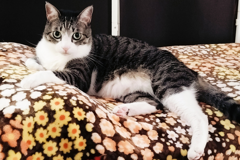 エンザイム・スパ・パナシア南