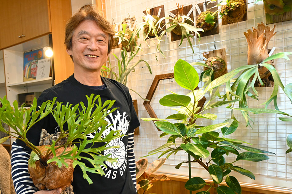 Fucasgreen 深川観葉植物店