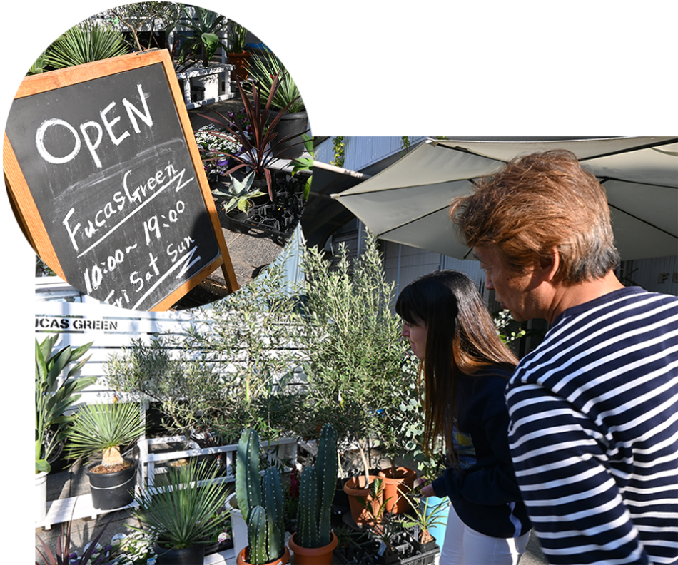 Fucasgreen-Fukagawa Houseplant Shop