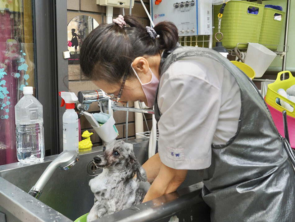 Jacuzzi Spa Lien