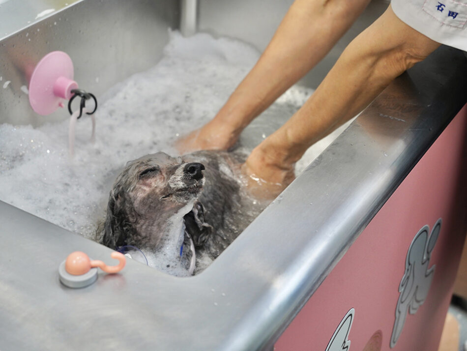 Jacuzzi Spa Lien
