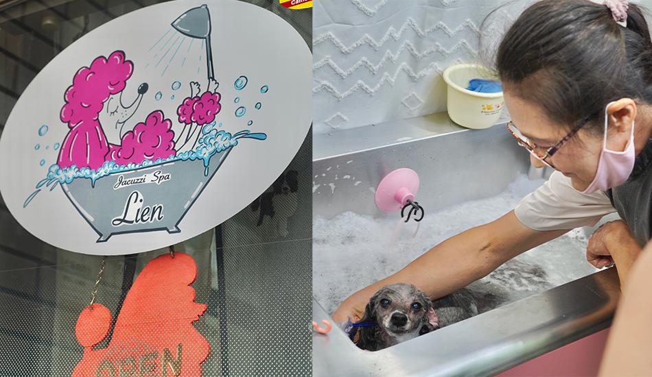 Jacuzzi Spa Lien