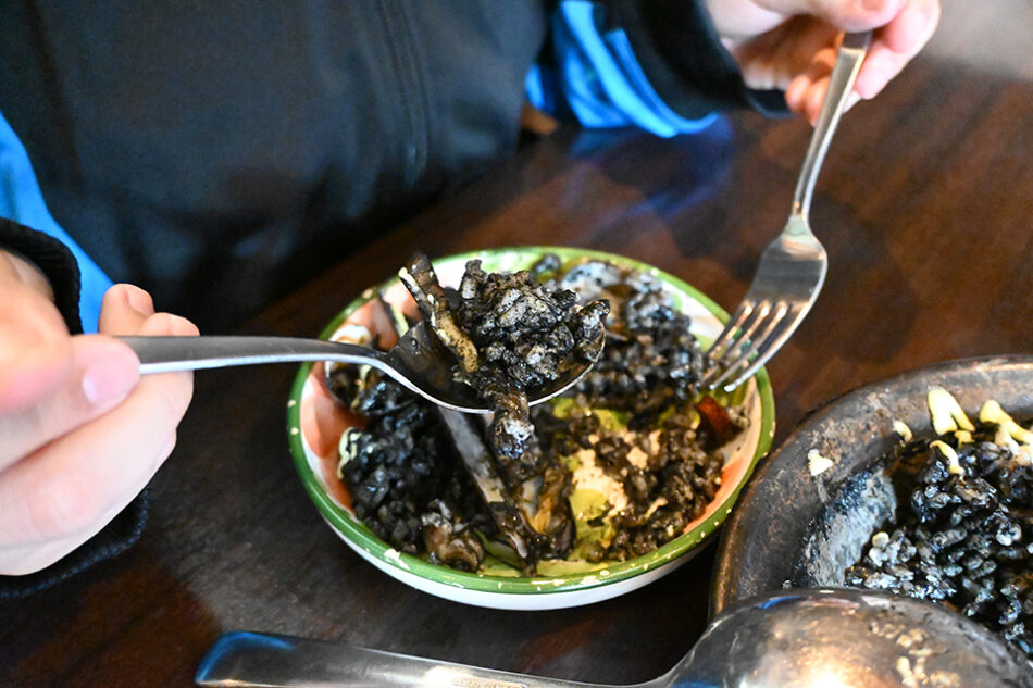 Traditional Spanish Cuisine Taberna Patata